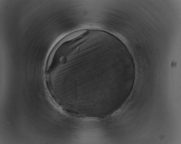 X0000095510864200801041158