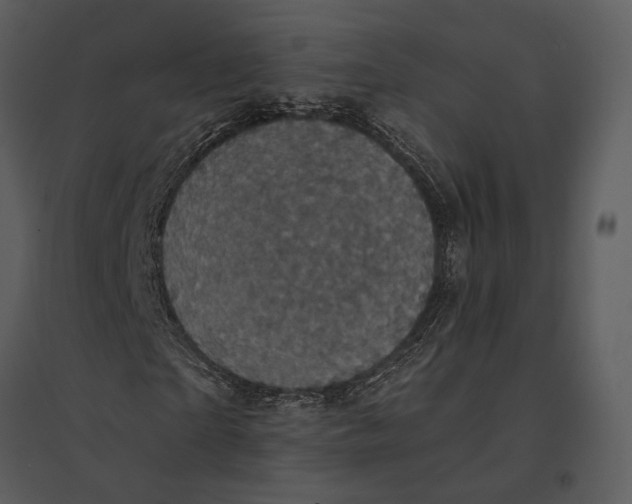 X0000095510865200801041158