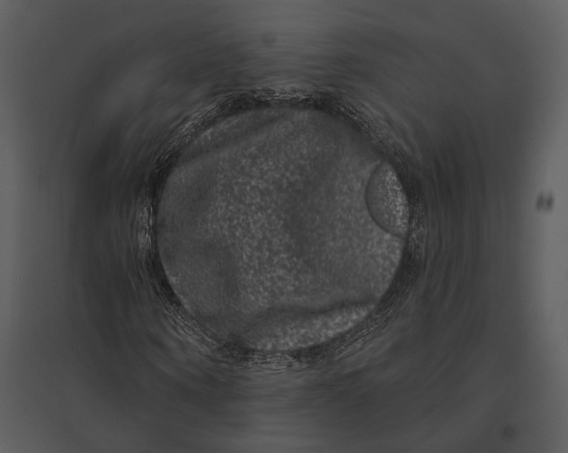 X0000095510866200801041158