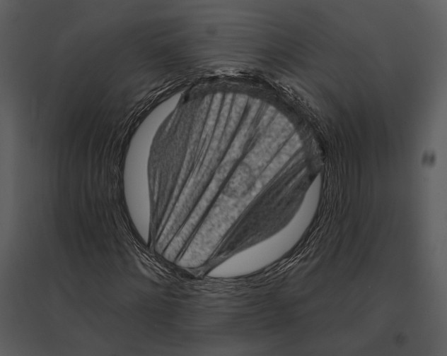 X0000095510868200801041158