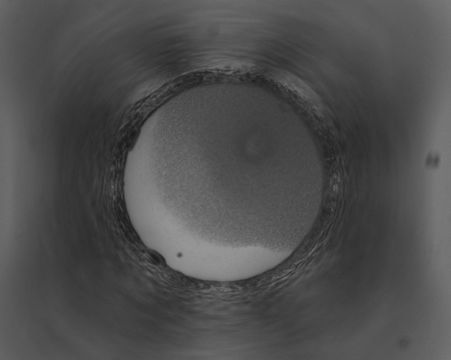 X0000095510869200801041158