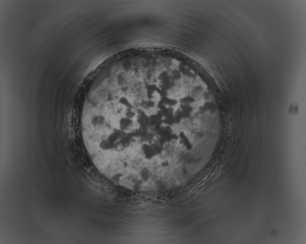 X0000095510871200801041158