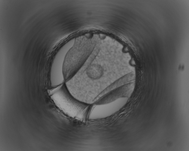 X0000095510872200801041158