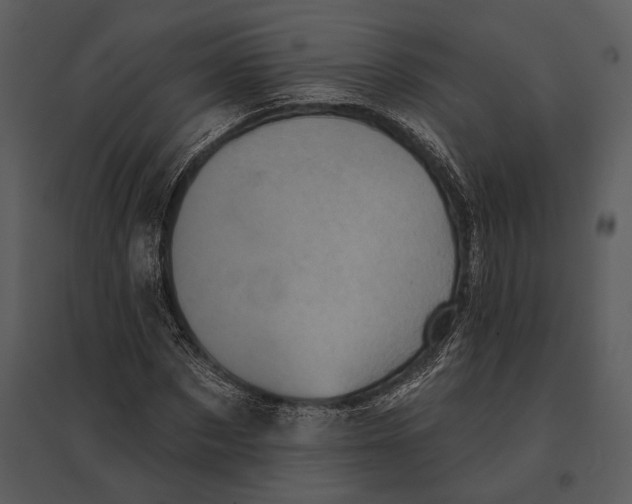 X0000095510873200801041158
