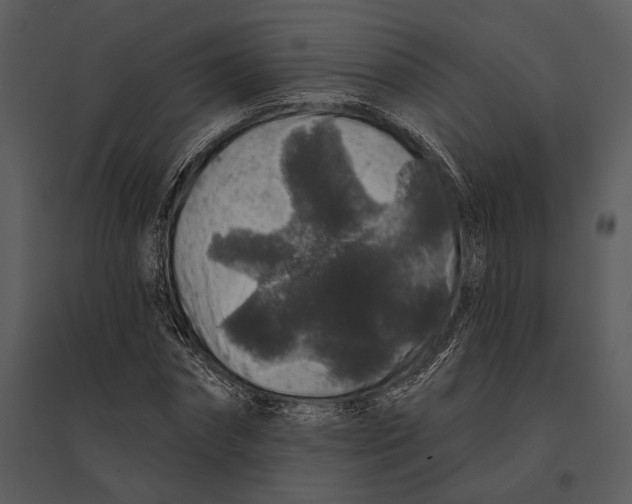 X0000095510874200801041158