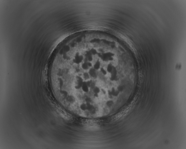 X0000095510875200801041158