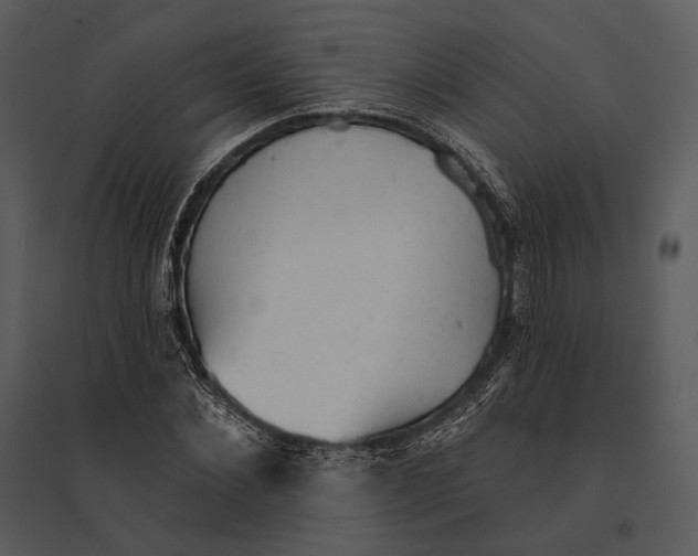 X0000095510876200801041158