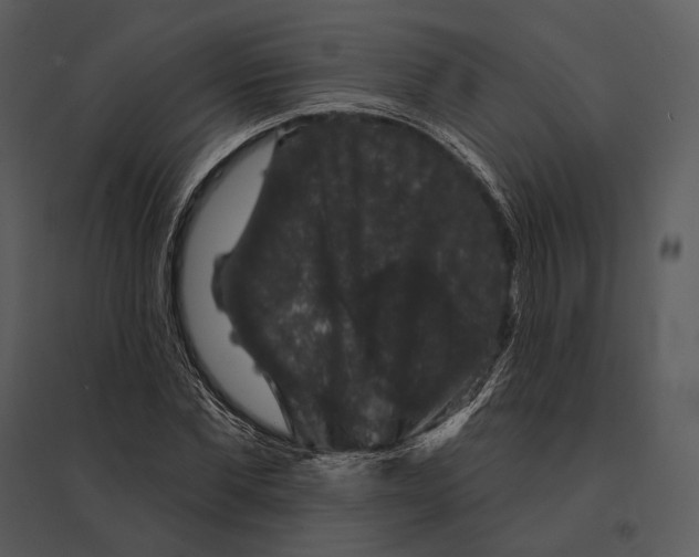 X0000095510877200801041158