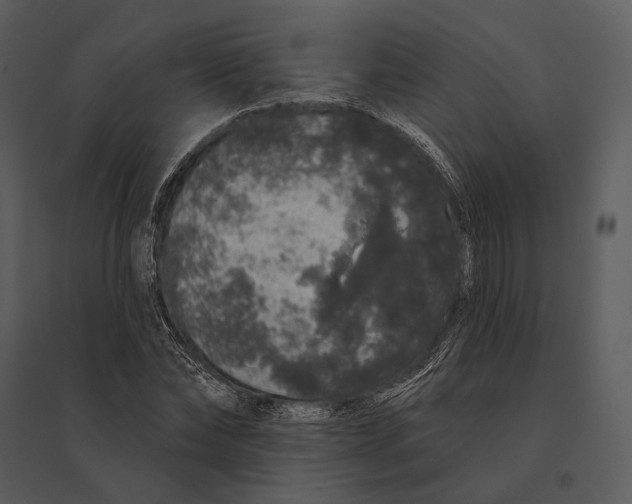 X0000095510878200801041158