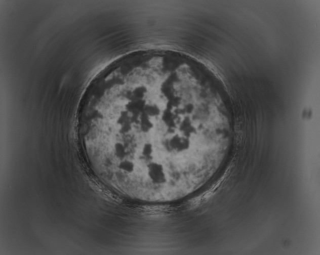 X0000095510879200801041158