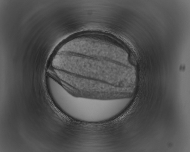 X0000095510880200801041158