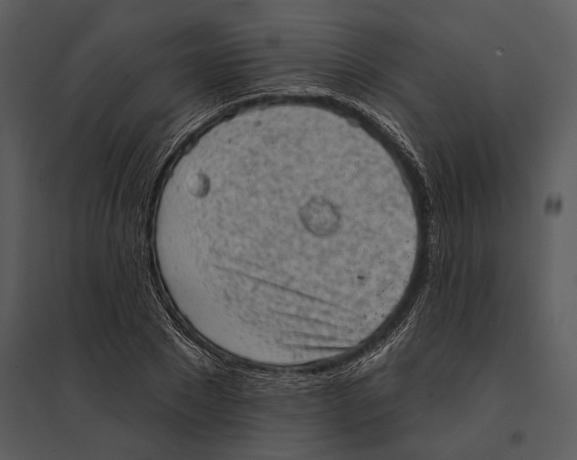 X0000095510881200801041157