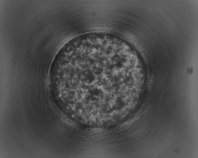 X0000095510883200801041157