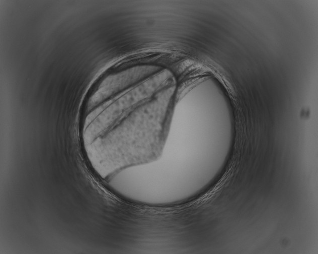 X0000095510884200801041157
