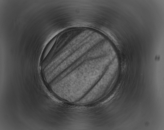 X0000095510885200801041157