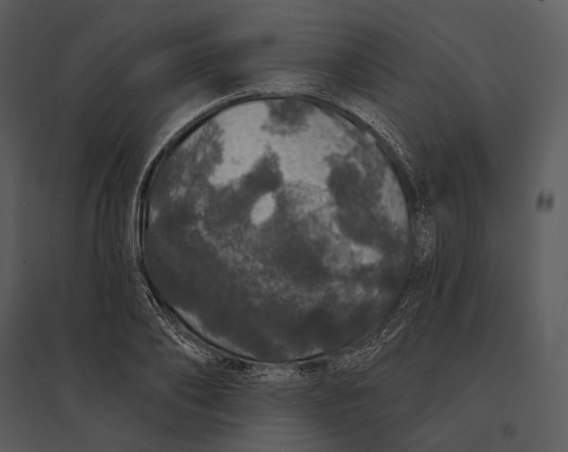 X0000095510886200801041157