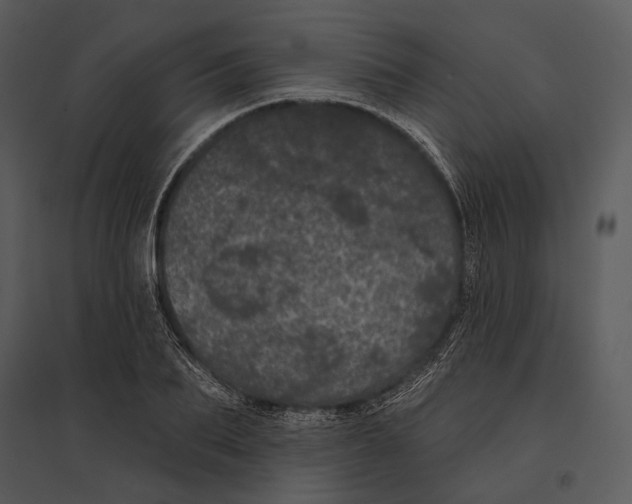 X0000095510887200801041157