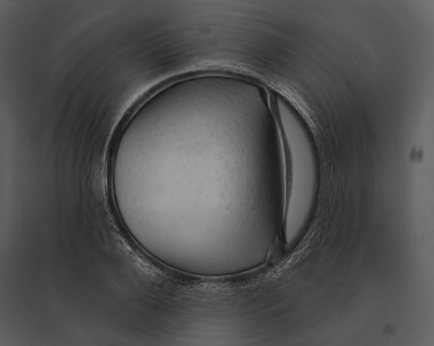 X0000095510888200801041157