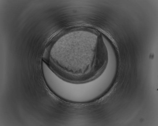 X0000095510889200801041157