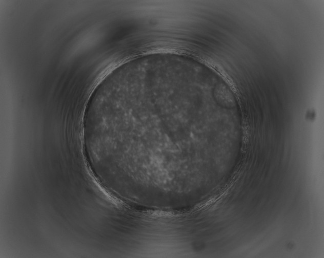 X0000095510890200801041157