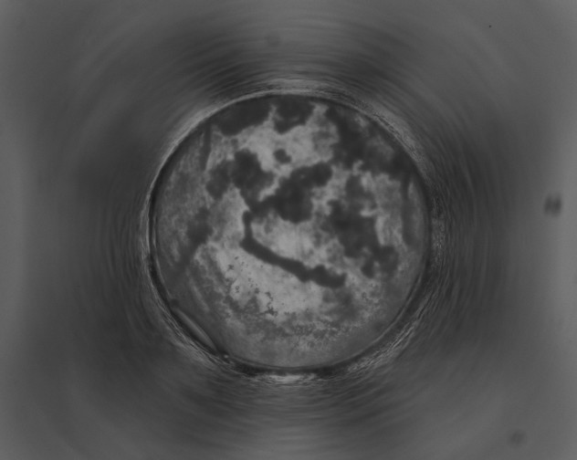X0000095510891200801041157