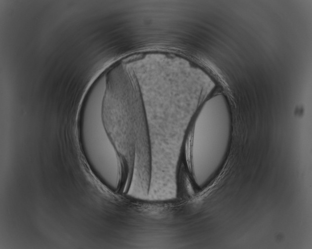 X0000095510892200801041157
