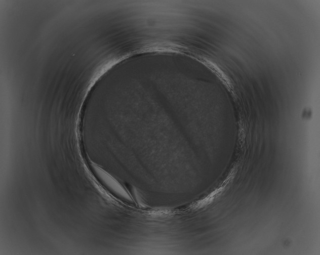 X0000095510893200801041157