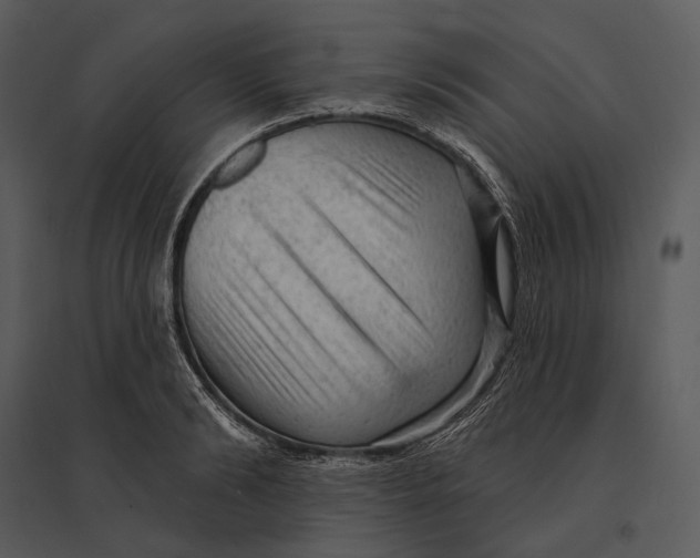 X0000095510894200801041157