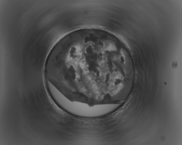 X0000095510895200801041157
