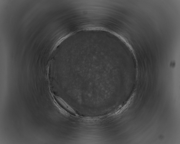 X0000095510897200801041157