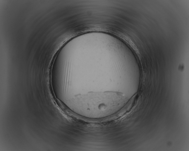X0000095510898200801041157