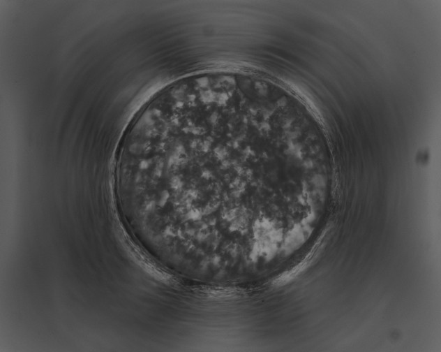 X0000095510899200801041157