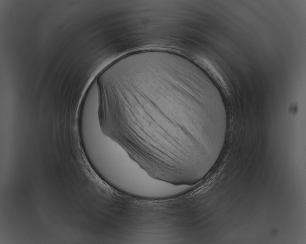 X0000095510900200801041157