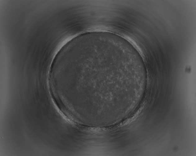 X0000095510901200801041157