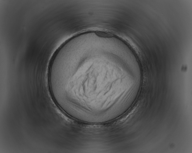 X0000095510902200801041157