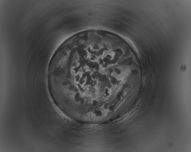 X0000095510903200801041157