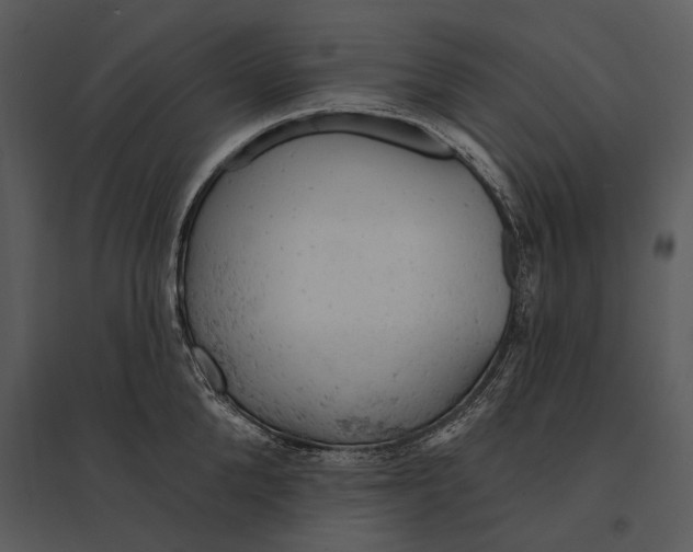 X0000095510904200801041157
