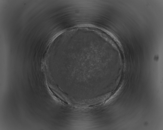 X0000095510905200801041157