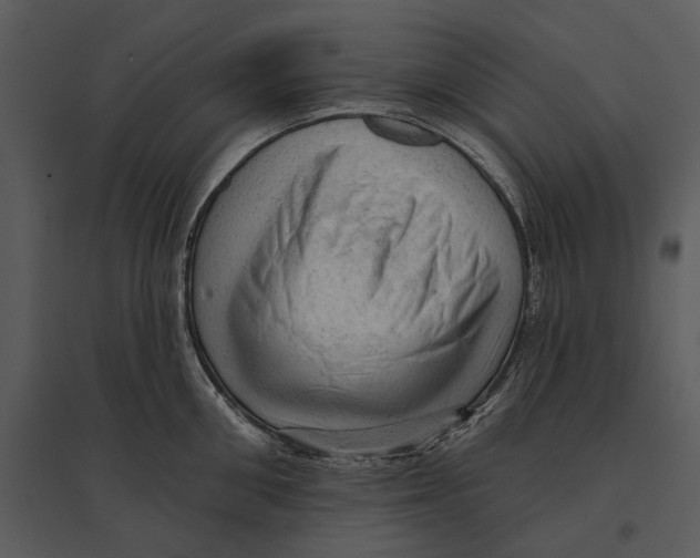 X0000095510906200801041157