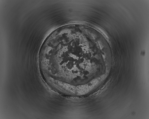 X0000095510907200801041157