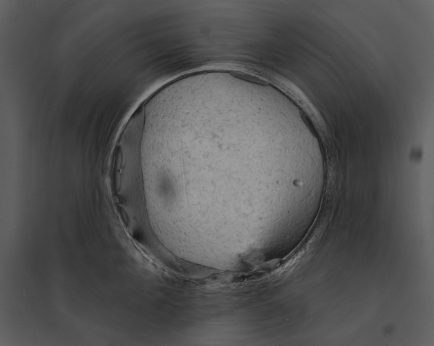 X0000095510908200801041157