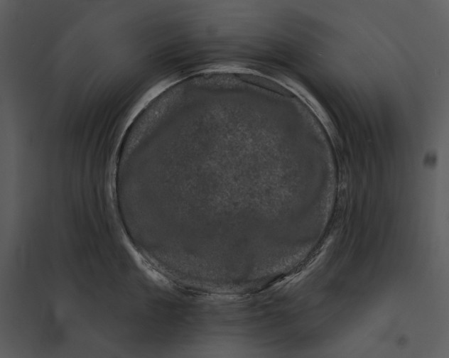X0000095510909200801041157
