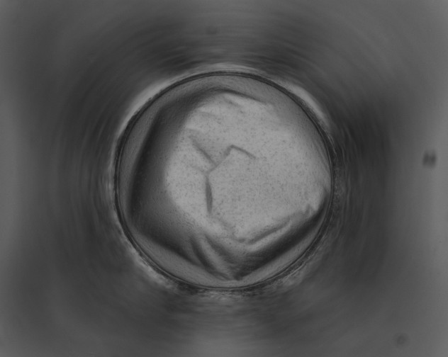 X0000095510910200801041157