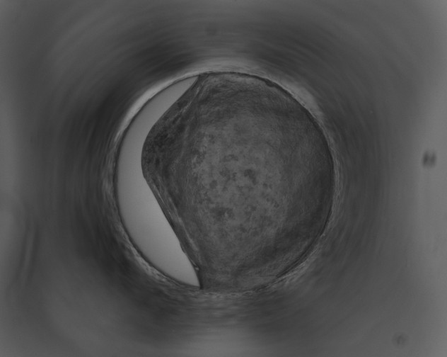 X0000095510912200801041157