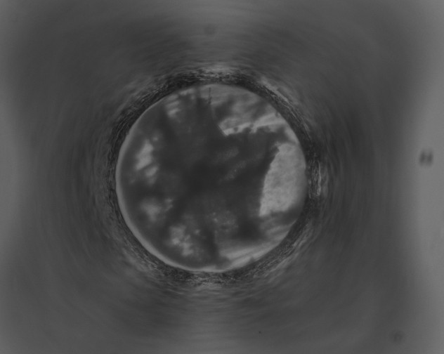 X0000095510913200801041156