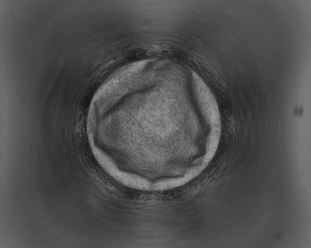 X0000095510914200801041156