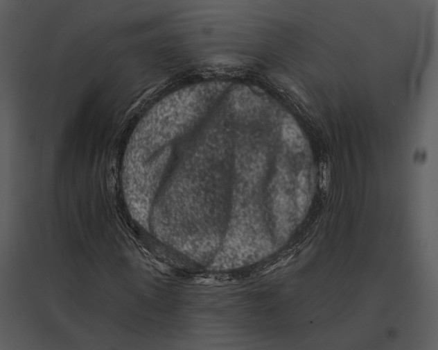 X0000095510915200801041156