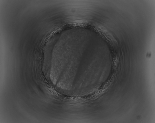 X0000095510916200801041156