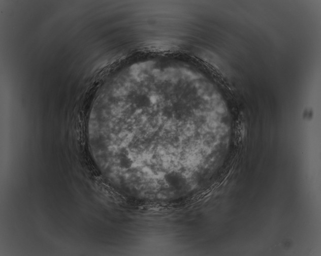 X0000095510917200801041156
