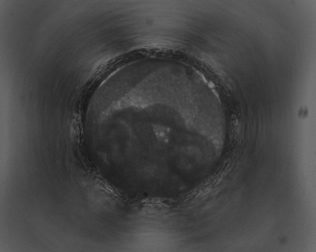 X0000095510918200801041156